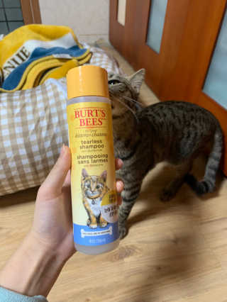 권효선님이 올린 리뷰 사진 3