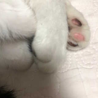 김채연님이 올린 리뷰 사진 3
