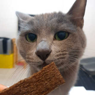 여온님이 올린 리뷰 사진 4