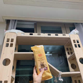 례진님이 올린 리뷰 사진 2