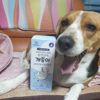 beaglelove님이 올린 리뷰 사진 1