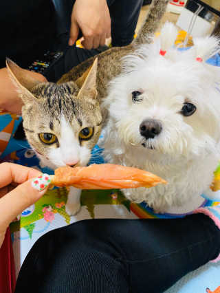 해바라기햇님님이 올린 리뷰 사진 1
