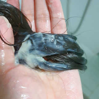 다함께차차차님이 올린 리뷰 사진 4