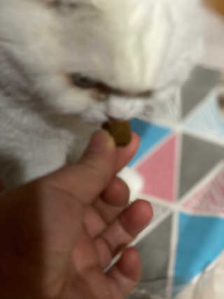 My Pet Care 천연단백질 관절건강에 개좋아 — 4점을 준 리뷰어가 2020년 11월 올린 사용 사진