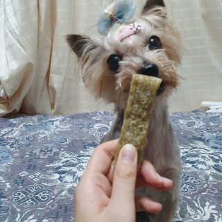 솜희님이 올린 리뷰 사진 3