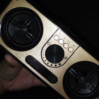 SEVIZ RETRO20W 레트로 블루투스 스피커 — 5점을 준 리뷰어가 2020년 7월 올린 사용 사진