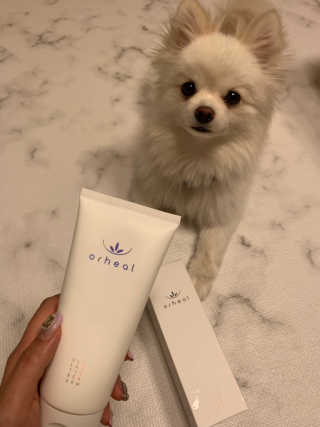 신소향님이 올린 리뷰 사진 1
