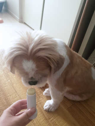 붕어빵님이 올린 리뷰 사진 3