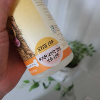 진수창훈님이 올린 리뷰 사진 2