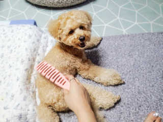 ve_randa님이 올린 리뷰 사진 2