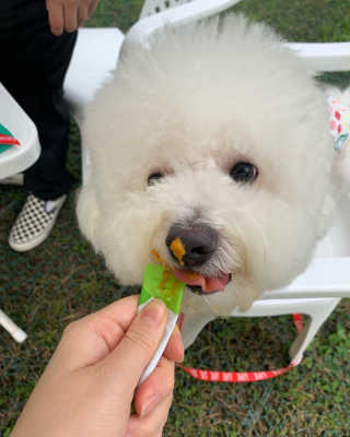 윤긍정님이 올린 리뷰 사진 4
