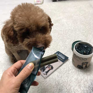 [푸디웜] 라포그 코어덴탈츄 그린 (10개입) — 5점을 준 리뷰어가 2020년 10월 올린 사용 사진