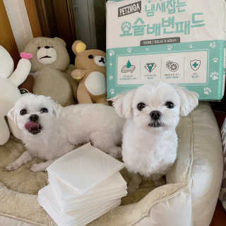 Kongeunji님이 올린 리뷰 사진 3