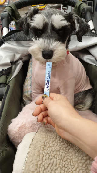 배엘세바님이 올린 리뷰 사진 3