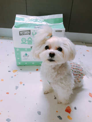 윤퍼플님이 올린 리뷰 사진 1