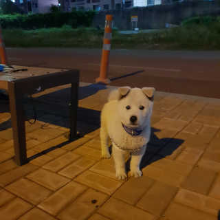 얌야미님이 올린 리뷰 사진 2