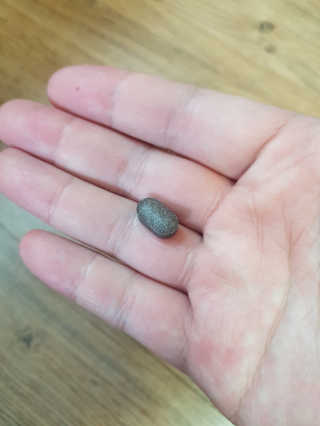 조은약초 꿀잠큐어 제주 감태추출물 감태정 600mg — 5점을 준 리뷰어가 2020년 5월 올린 사용 사진