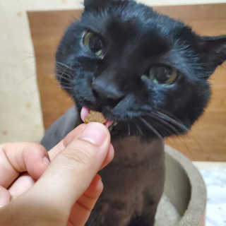 미니유님이 올린 리뷰 사진 3