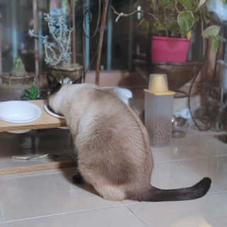쭌뭉님이 올린 리뷰 사진 1