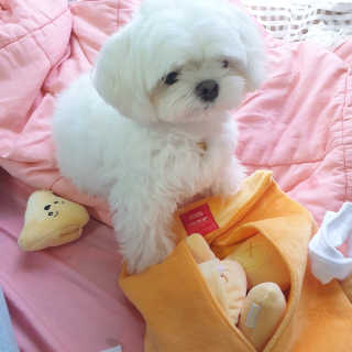 lala님이 올린 리뷰 사진 1