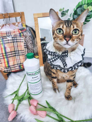효니님이 올린 리뷰 사진 1