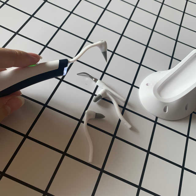 반려동물 가정용 스케일러 리뷰 사진