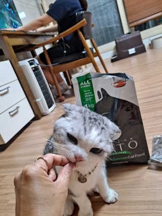 라니으니님이 올린 리뷰 사진 3