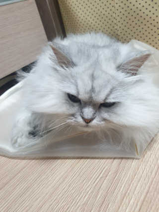 김다은님이 올린 리뷰 사진 4