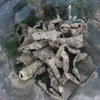 숑굥님이 올린 리뷰 사진 3