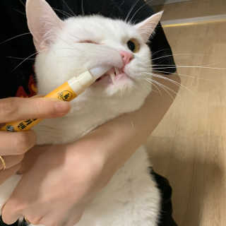 유짱님이 올린 리뷰 사진 3