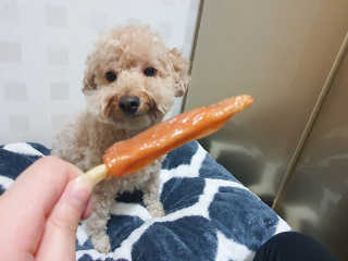 dutxod님이 올린 리뷰 사진 1