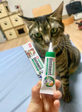 오아희님이 올린 리뷰 사진 2