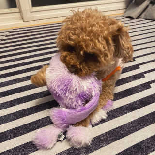toiiiii님이 올린 리뷰 사진 3