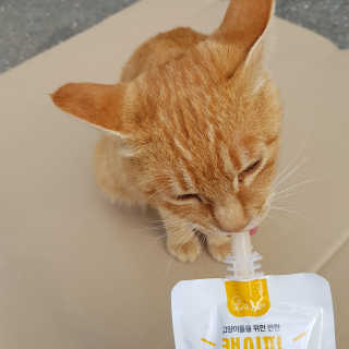 빡찌님이 올린 리뷰 사진 4