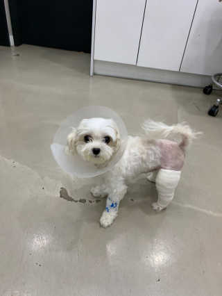둥가둥가우리도도님이 올린 리뷰 사진 1