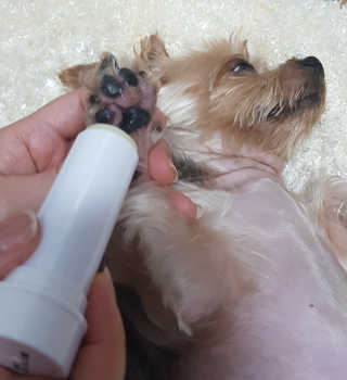 Jy님이 올린 리뷰 사진 3