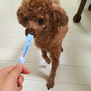 수호맘님이 올린 리뷰 사진 1