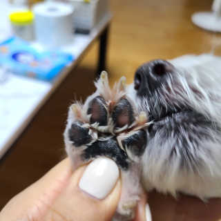 쮸디님이 올린 리뷰 사진 3