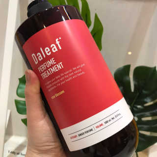 달리프 진저 베러퍼퓸 트리트먼트 1000ml 향 5종 — 3.5점을 준 리뷰어가 2020년 6월 올린 사용 사진