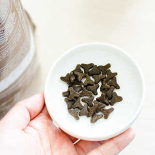 2019yaap님이 올린 리뷰 사진 3