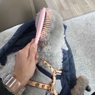 아이캔디 레인보우 볼륨S  브러쉬 for PET 미디엄 — 5점을 준 리뷰어가 2020년 11월 올린 사용 사진
