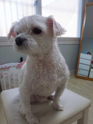 깡이님이 올린 리뷰 사진 3
