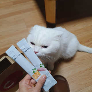 리쩡님이 올린 리뷰 사진 1