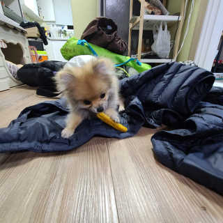 coolorweird님이 올린 리뷰 사진 1