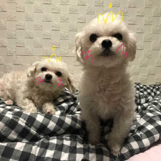 고옹파알리이터어님이 올린 리뷰 사진 4