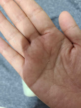 우성이맘님이 올린 리뷰 사진 3