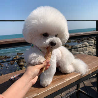 아시안님이 올린 리뷰 사진 4