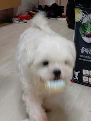 이수진님이 올린 리뷰 사진 3