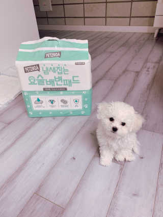 큐티윤님이 올린 리뷰 사진 2