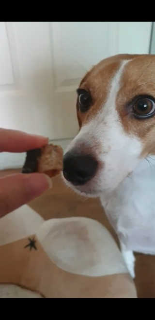 beaglelove님이 올린 리뷰 사진 3